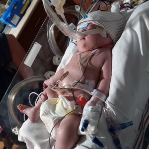 Team Page: Brave Hearts for Julius Jean